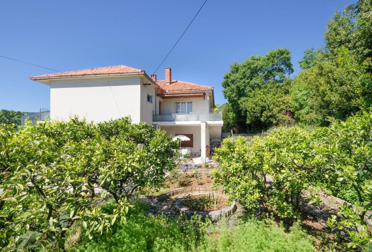 Apartments Mladen Jelica Ičići Dış mekan fotoğraf